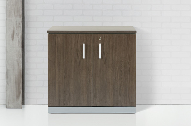 directie-draaideurkast-85x90x42cm-1 directie-draaideurkast-85x90x42cm