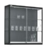 vitrinekast-100x100x30cm