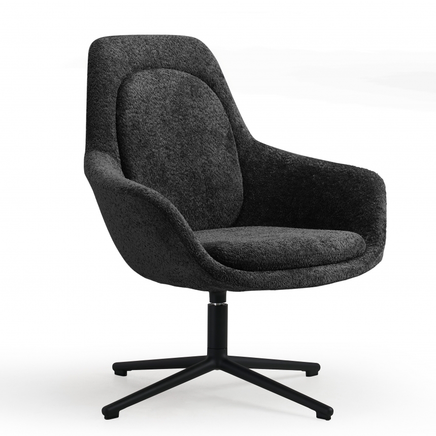 Luxe Fauteuil | Zwart