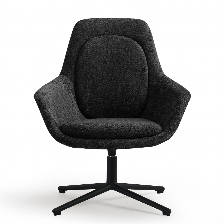 Luxe Fauteuil | Zwart